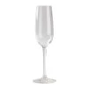 Thunder Group PLTHCP007C 7 Oz. Plastic Champagne Flute 1 Thunder Group PLTHCP007C 7 Oz. Plastic Champagne Flute -Acopa Shop 129862