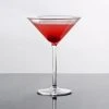 Thunder Group PLTHMT008C 8 Oz. Plastic Martini Glass 2 Thunder Group PLTHMT008C 8 Oz. Plastic Martini Glass -Acopa Shop 139663