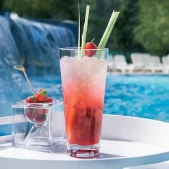 Arcoroc E6138 Outdoor Perfect 16 Oz. Clear SAN Plastic Hi Ball Glass By Arc Cardinal - 36/Case