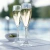 Arcoroc E6125 Outdoor Perfect 5 Oz. SAN Plastic Champagne Flute By Arc Cardinal - 36/Case 1 Arcoroc E6125 Outdoor Perfect 5 Oz. SAN Plastic Champagne Flute By Arc Cardinal - 36/Case -Acopa Shop 1944150
