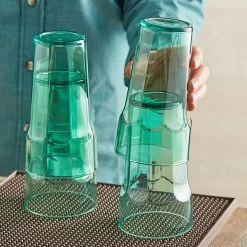Choice 20 Oz. Green SAN Plastic Paneled Tumbler - 12/Pack 7 Choice 20 Oz. Green SAN Plastic Paneled Tumbler - 12/Pack -Acopa Shop 2162981