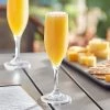 Acopa Endure 6 Oz. TRITAN® Plastic Champagne Flute - 12/Pack 1 Acopa Endure 6 Oz. TRITAN® Plastic Champagne Flute - 12/Pack -Acopa Shop 2474625